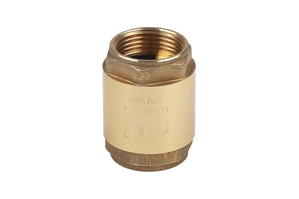 Spring check valve with female BSP thread, type 2280, 2281