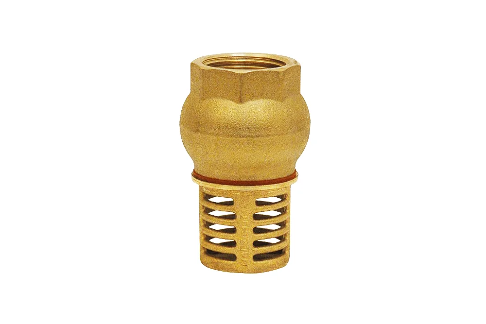 Foot valve with female thread BSP, type 2350